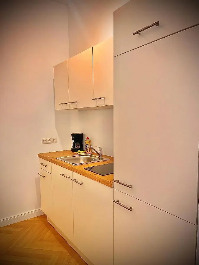 Wiedner Apartments Viena 0*,